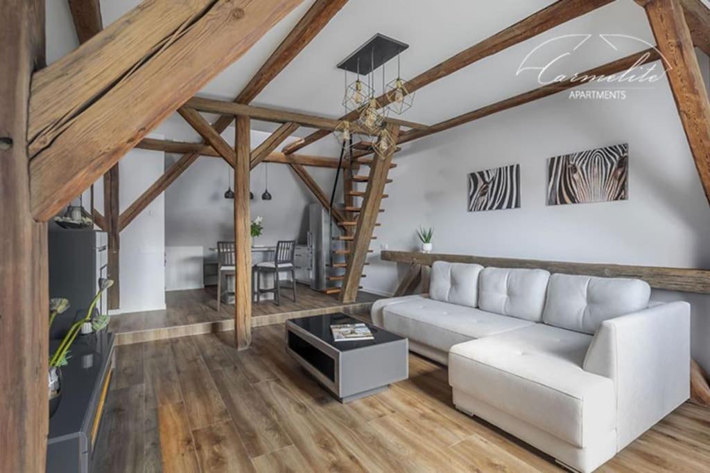 Spacious Sky Carmelite Apartament Wilno