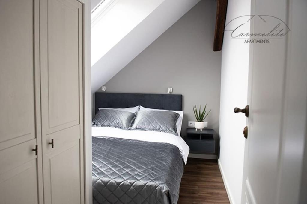 Apartment Spacious Sky Carmelite Wilna