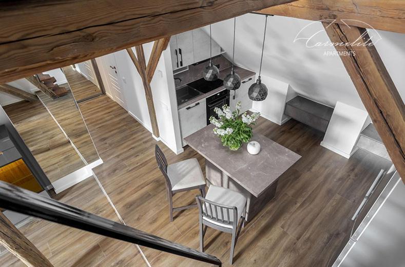 Apartment Spacious Sky Carmelite Wilna