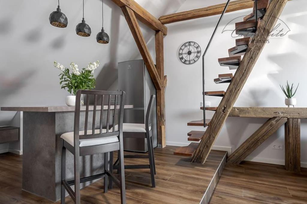 Apartment Spacious Sky Carmelite Wilna