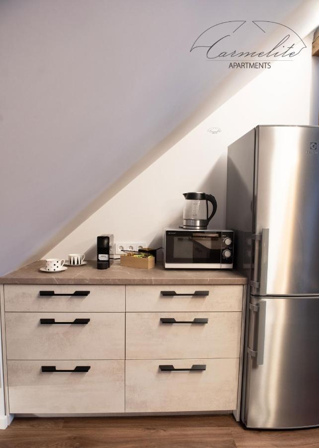 Apartment Spacious Sky Carmelite Wilna